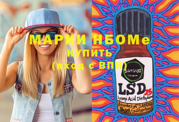 шишки Алексин